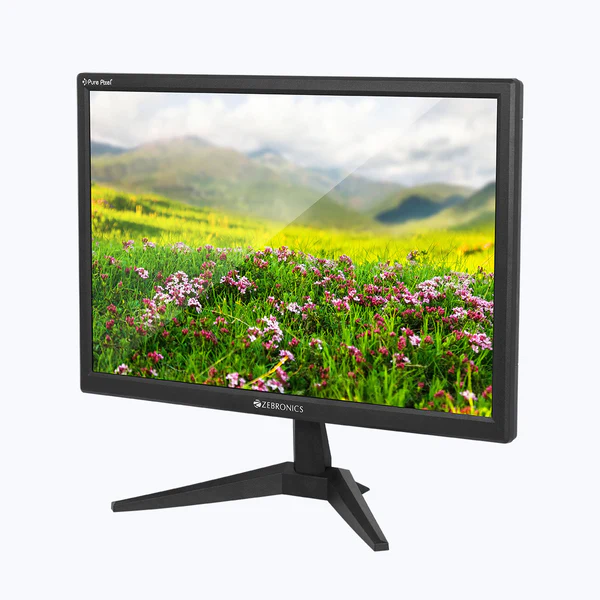Zebronics ZEB-GV219 Monitor