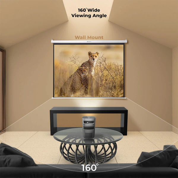 Zebronics Zeb-PSM100A Projector Screen