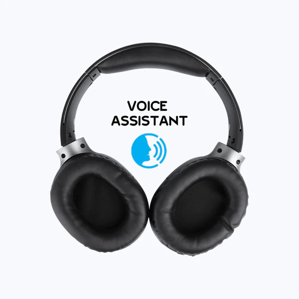 Zebronics Zeb-Envy Headphone