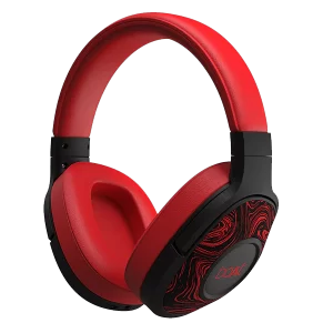 BoAt Rockerz 550 FM Wireless Headphones