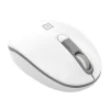 Portronics Toad 11 Wireless Mouse