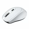 Portronics Toad 31 Wireless Mouse